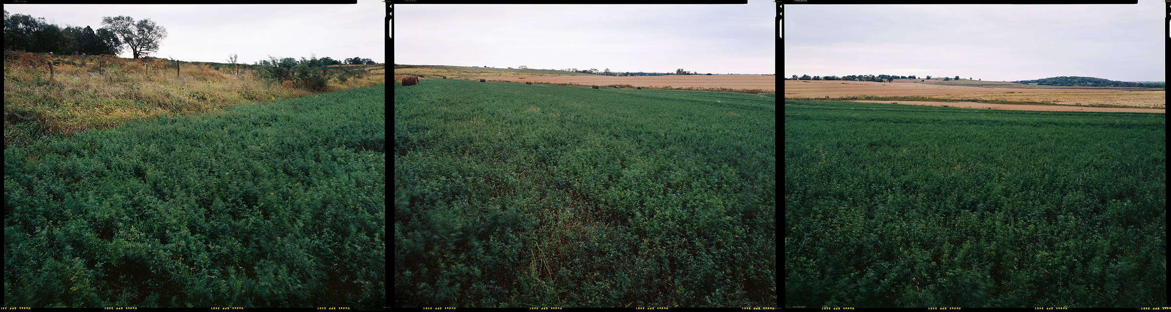 Bern, Kansas, 2007