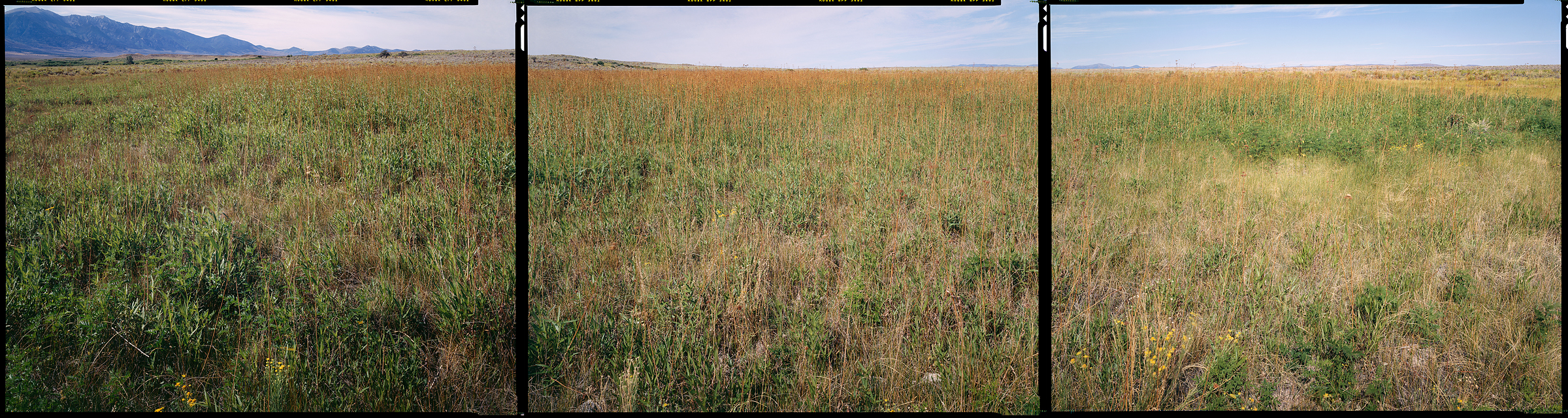 Ibapah, Utah, 2012
